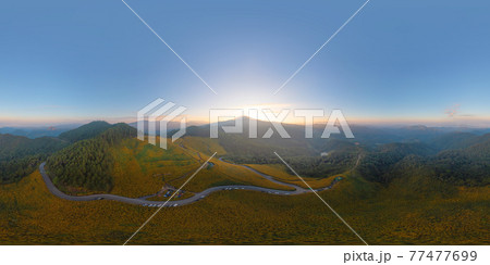 360 panorama by 180 degrees angle seamless panorama of aerial view of tree Marigold or yellow flowers in national garden park and mountain hills in Mae Hong Son, Thailand. Nature. Thung Bua Tong. 77477699