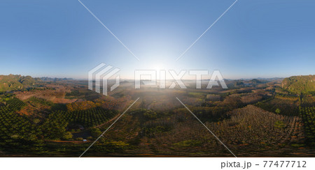 360 panorama by 180 degrees angle seamless panorama of aerial top view of forest trees with fog mist and green mountain hill at sunset. Nature landscape background, Thailand. 360 panorama by 180 degrees angle seamless panorama of aerial top view of forest trees with fog mist and green mountain hill at sunset. Nature landscape background, Thailand. 77477712