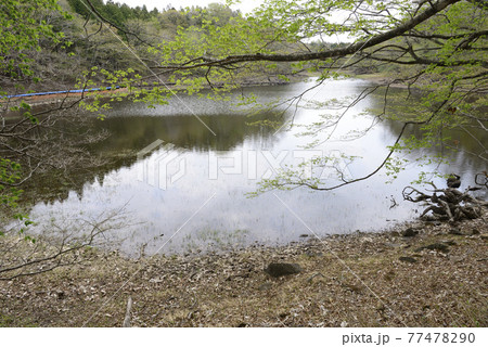 大沼 大沼 77478290