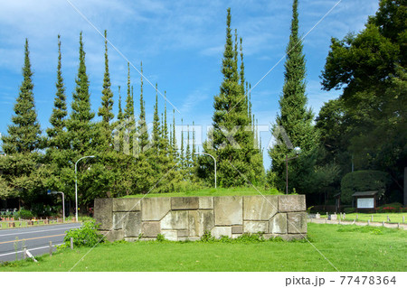 渋谷区外苑前の銀杏並木にある石垣 渋谷区外苑前の銀杏並木にある石垣 77478364