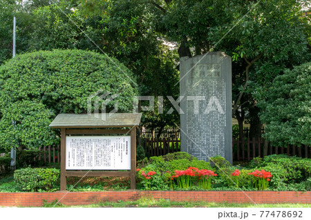 渋谷区外苑前銀杏並木の明治神宮外苑の記 渋谷区外苑前銀杏並木の明治神宮外苑の記 77478692