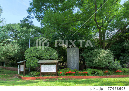 渋谷区外苑前銀杏並木の明治神宮外苑の記 渋谷区外苑前銀杏並木の明治神宮外苑の記 77478693