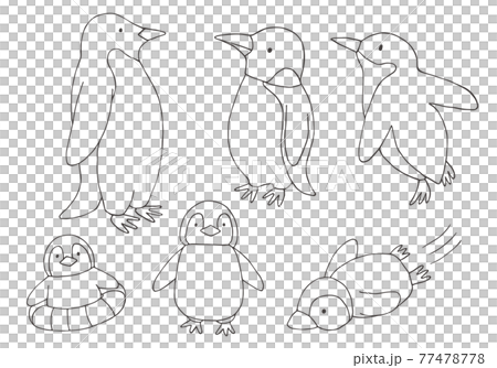 手描きのペンギン親子 線画（モノクロ） 77478778