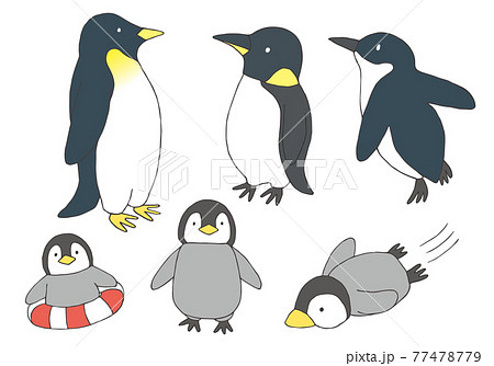 手描きのペンギン親子 線画 カラー のイラスト素材
