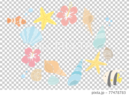 いろんな貝殻の手描きイラスト(カラー/輪郭線なし) いろんな貝殻の手描きイラスト(カラー/輪郭線なし) 77478783