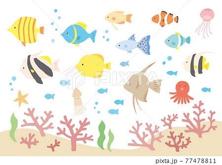 いろんな熱帯魚とサンゴの手描きイラストセット カラー 輪郭線なし のイラスト素材