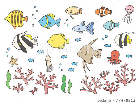 いろんな熱帯魚とサンゴの手描きイラストセット カラー のイラスト素材