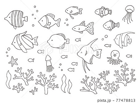いろんな熱帯魚とサンゴの手描きイラストセット モノクロ のイラスト素材