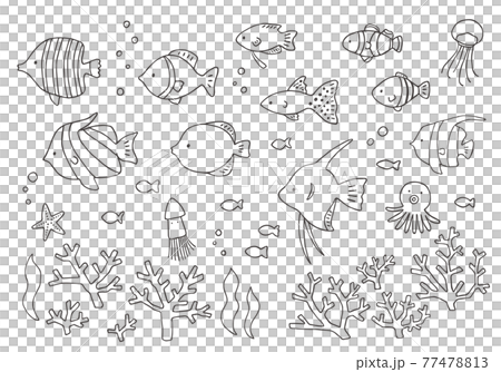 Hand-drawn illustration set of various tropical fish and coral (monochrome) 77478813