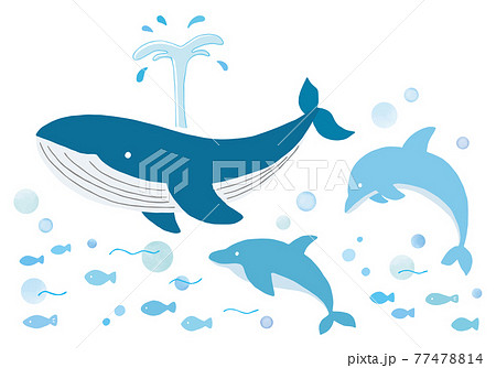 クジラとイルカの手描きイラストセット カラー 輪郭線なし のイラスト素材