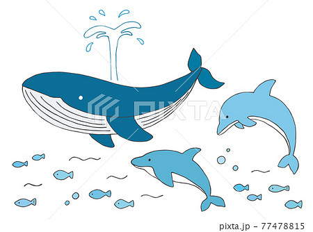 クジラとイルカの手描きイラストセット カラー のイラスト素材
