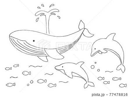 クジラとイルカの手描きイラストセット モノクロ のイラスト素材