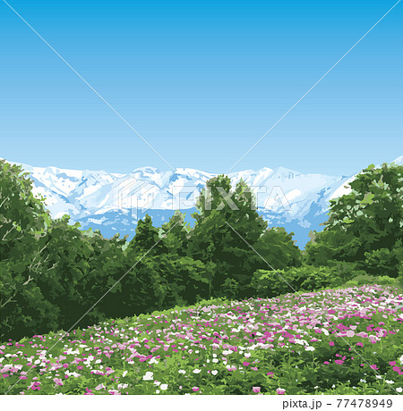 芍薬の咲く丘と山 77478949