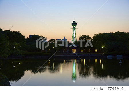 コロナ禍の通天閣　夕景【大阪　天王寺公園内から】 77479104