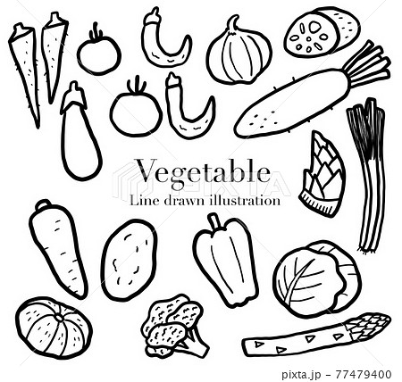 野菜の手描きイラストセット 線画のイラスト素材
