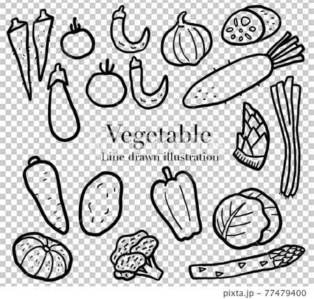 野菜の手描きイラストセット 線画のイラスト素材 [77479400] - PIXTA