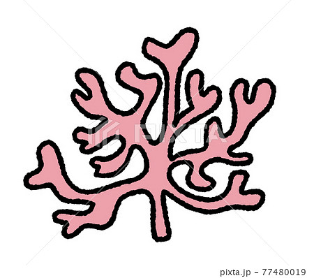 サンゴとイソギンチャク2のイラスト素材