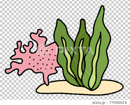 サンゴとイソギンチャク6のイラスト素材