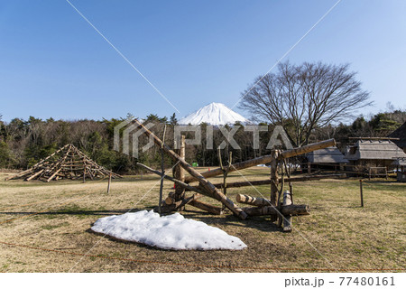 西湖野鳥の森公園 富士河口湖朝西湖 西湖野鳥の森公園 富士河口湖朝西湖 77480161