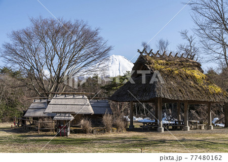 西湖野鳥の森公園 富士河口湖朝西湖 西湖野鳥の森公園 富士河口湖朝西湖 77480162