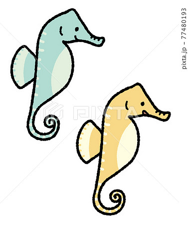タツノオトシゴ 77480193