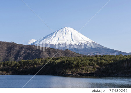 西湖と富士山 西湖と富士山 77480242