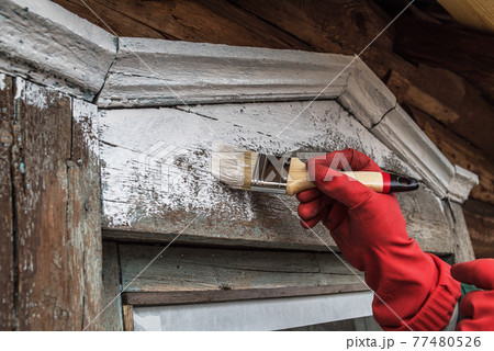 Painting the window of an old wooden house with white paint with a paintbrush 77480526
