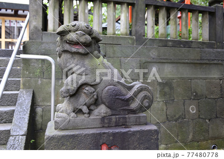 六本木　天祖神社（龍土神明宮）阿形の狛犬 77480778