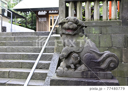 六本木 天祖神社(龍土神明宮)阿形の狛犬 六本木 天祖神社(龍土神明宮)阿形の狛犬 77480779