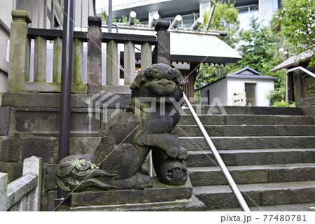 六本木 天祖神社(龍土神明宮)吽形の狛犬 六本木 天祖神社(龍土神明宮)吽形の狛犬 77480781