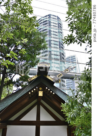 六本木 天祖神社(龍土神明宮)社殿 六本木 天祖神社(龍土神明宮)社殿 77480786