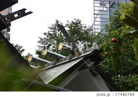 六本木　天祖神社（龍土神明宮）社殿 77480789