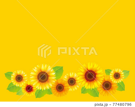 黄色いひまわりの花と葉フレームイラストベクター素材背景イエローのイラスト素材