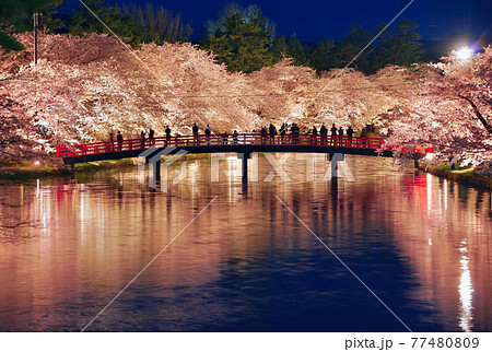 弘前公園　春陽橋から夜桜を楽しむ人々　青森県弘前市 77480809
