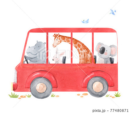 Beautiful stock illustration with cute hand drawn watercolor bus with animals. Rhino giraffe rabbit koala. Little friends. Beautiful stock illustration with cute hand drawn watercolor bus with animals. Rhino giraffe rabbit koala. Little friends. 77480871