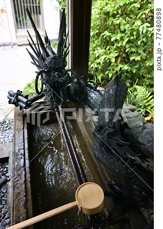 六本木 天祖神社(龍土神明宮)手水舎 六本木 天祖神社(龍土神明宮)手水舎 77480898