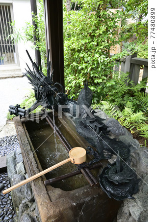 六本木 天祖神社(龍土神明宮)手水舎 六本木 天祖神社(龍土神明宮)手水舎 77480899