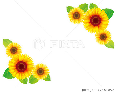 黄色いひまわりの花と葉角フレームベクターイラスト素材のイラスト素材
