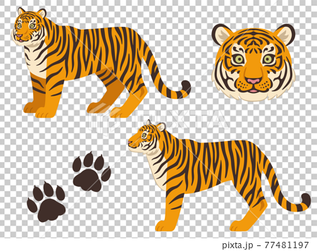 虎のイラストセット 横向き全身 顔 手形アイコン のイラスト素材