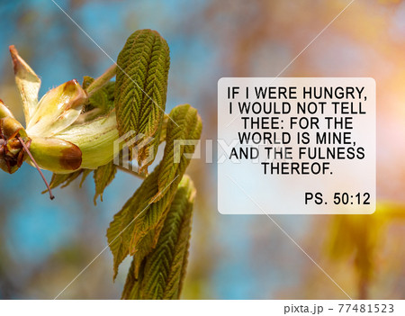 Bible quotes on blurred nature background. Card with text sign for believers. Inspirational verse thoughts for praying. 77481523
