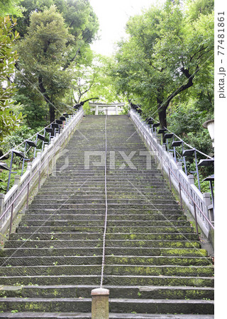 愛宕神社　出世の石段（男坂） 77481861