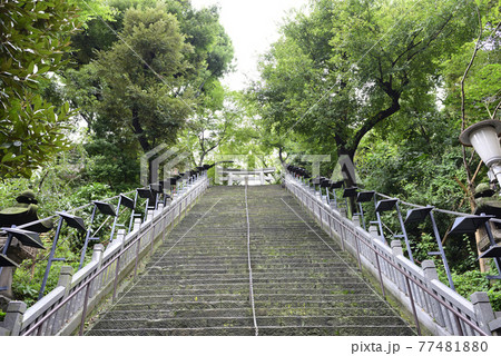 愛宕神社　出世の石段（男坂） 77481880