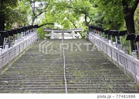 愛宕神社 出世の石段(男坂) 愛宕神社 出世の石段(男坂) 77481886