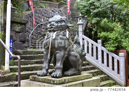 愛宕神社　吽形の狛犬 77482656