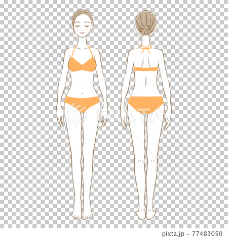 水着を着た女性の全身イラスト　正面と後ろ姿　02 77483050