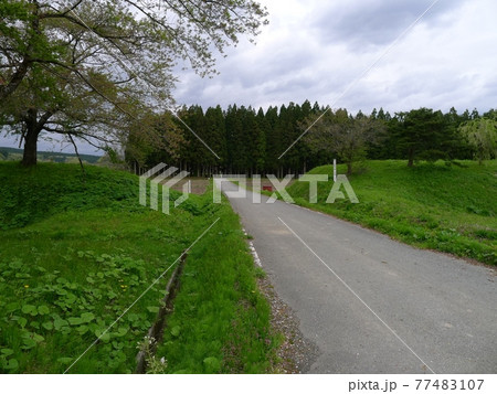 清水城址　　　（山形県大蔵村） 77483107