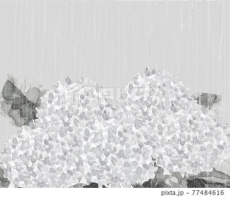 モノトーン 雨の日のアジサイ【水墨画風水彩画】素材 コピースペース