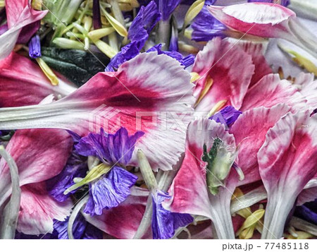カーネーションとその他の花の花びら カーネーションとその他の花の花びら 77485118