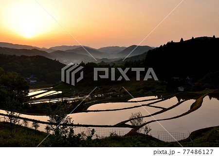 長谷の棚田 77486127