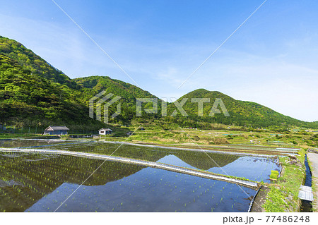 京都 袖志の棚田 京都 袖志の棚田 77486248